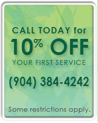 Yard Warrior - Coupon 10% Off