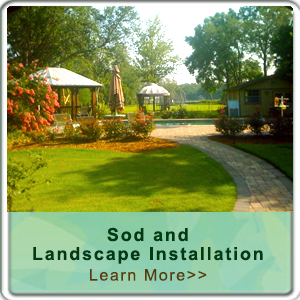 Jacksonville Landscape and Sod